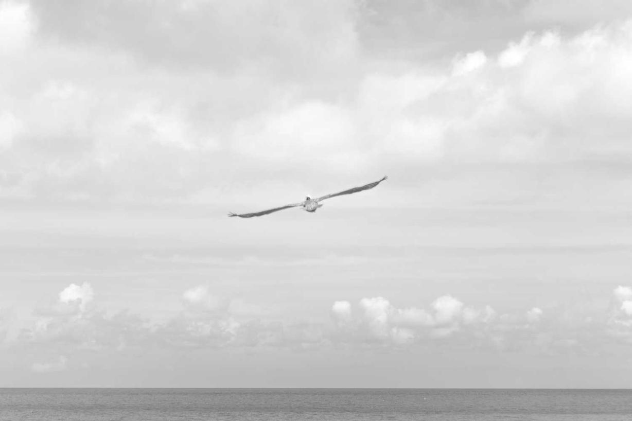 Qui recusandae eos maxime dolorem tenetur tempore omnis